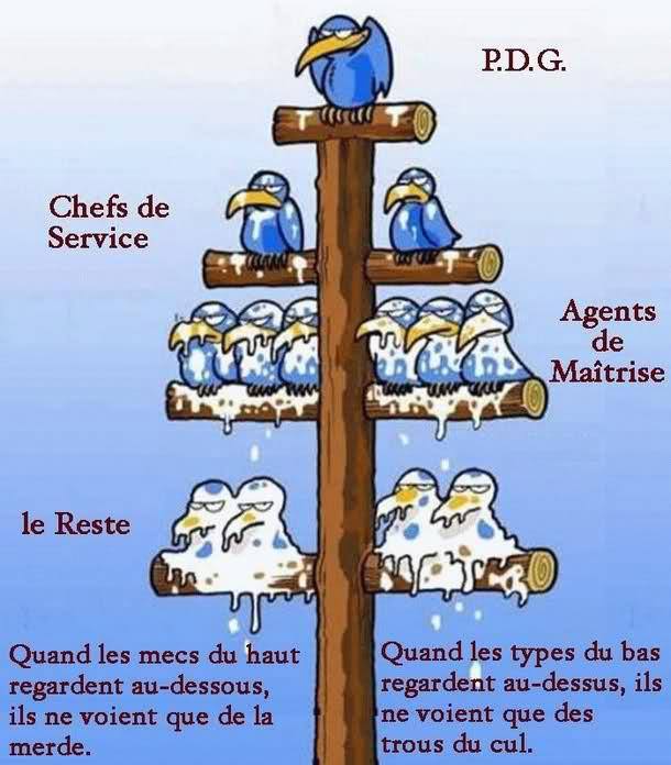 pdg.jpg