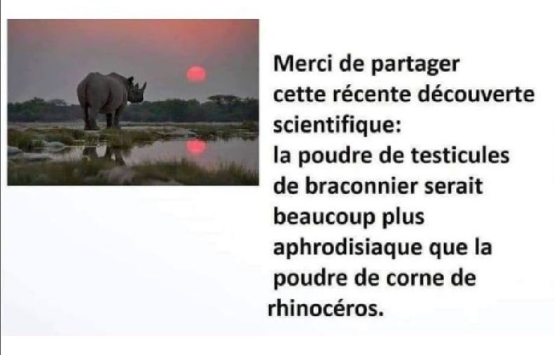 Braconnier.jpg