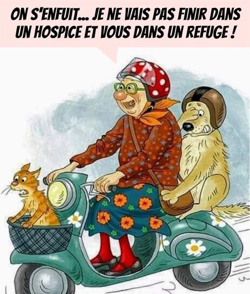 refuge.jpg