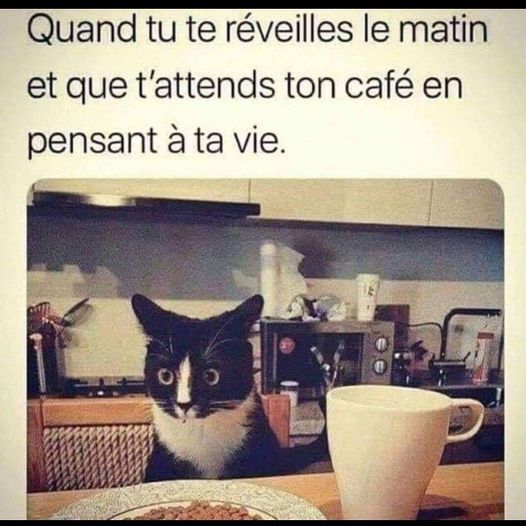 café.jpg