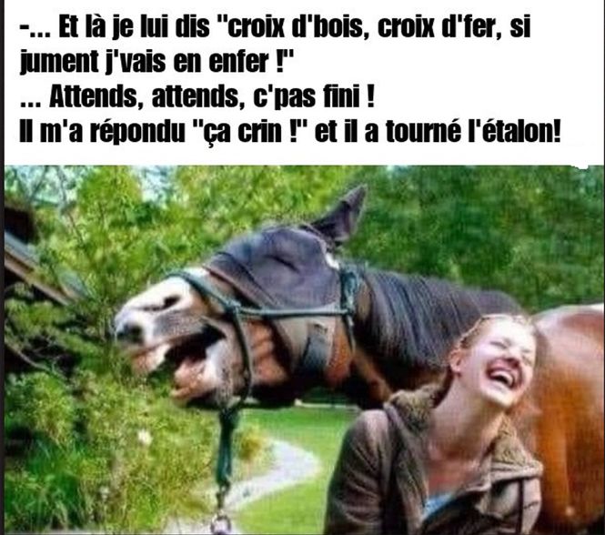 Cheval.jpg