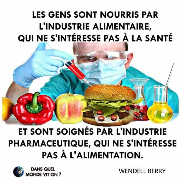 alimentation.jpg