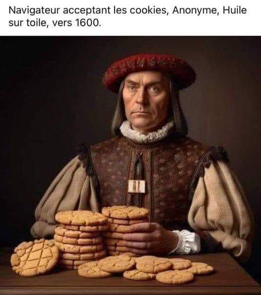 navigateur cookies.jpg