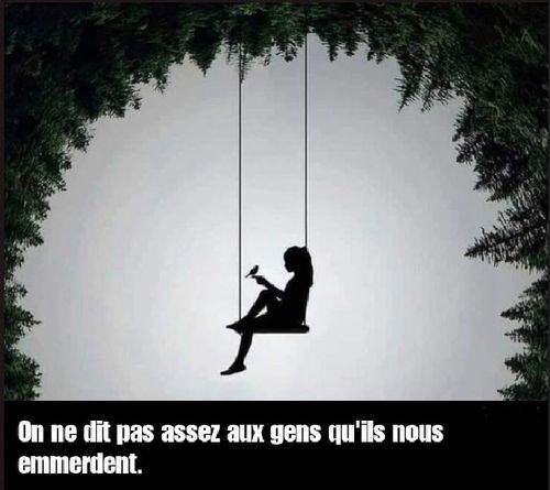 Sans titre.jpg