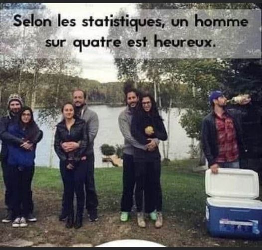 statistiques.jpg