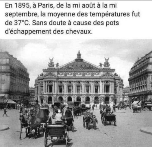 mi aout.jpg