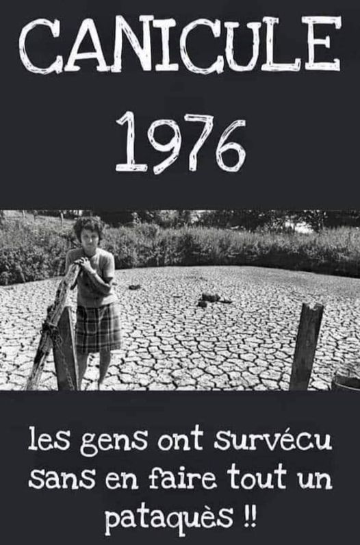 canicule.jpg