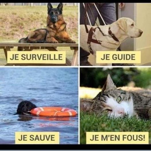 je............jpg