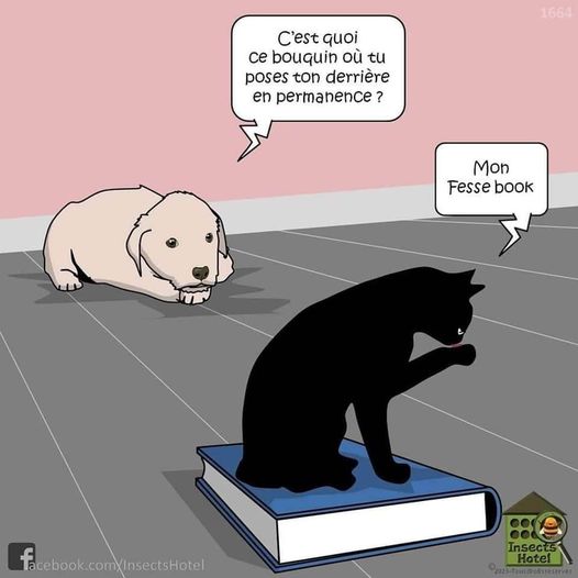 fesse book.jpg
