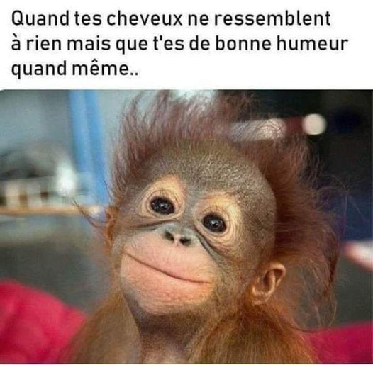 bonne humeur.jpg