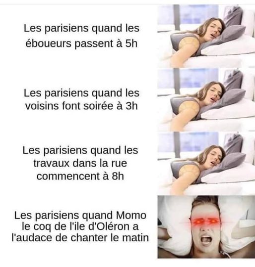 parisien.jpg