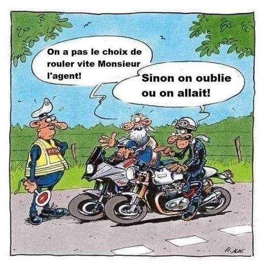 moto.jpg