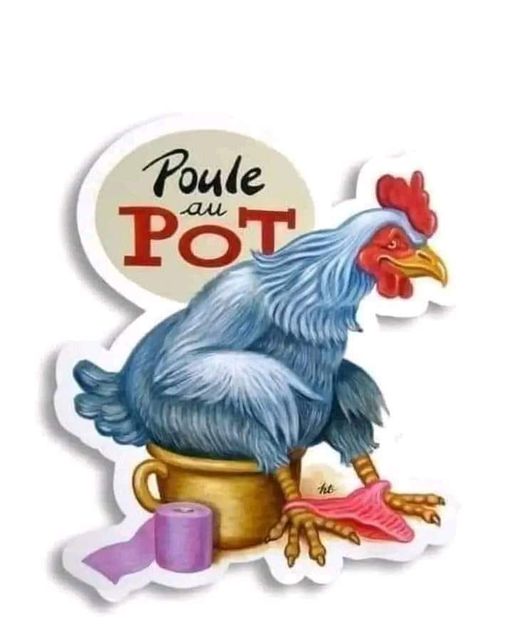 poule.jpg