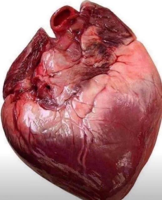 coeur.jpg