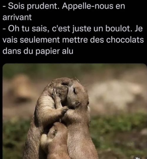 choco.jpg