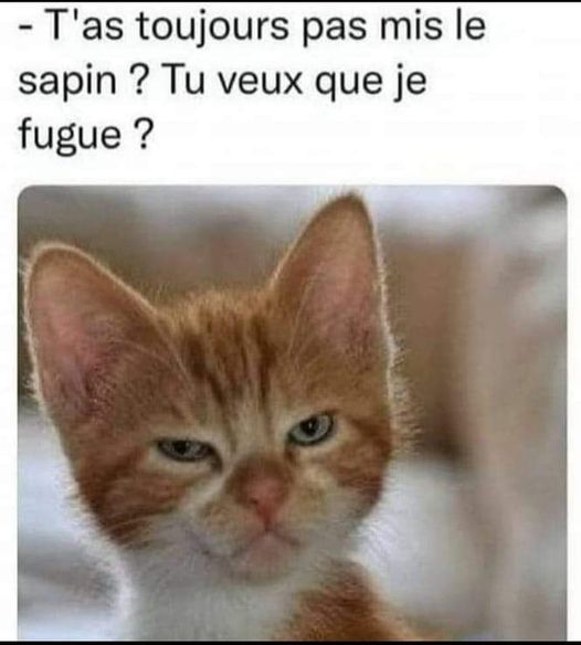sapin.jpg
