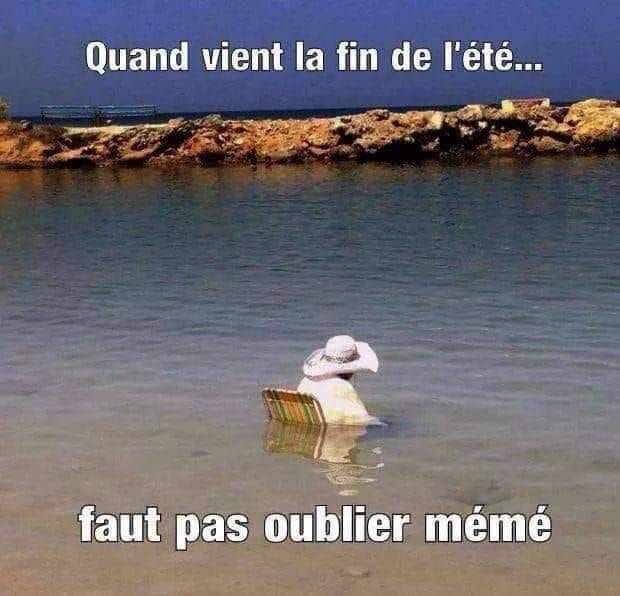 mémée.jpg