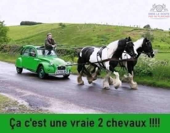 2 chevaux.jpg