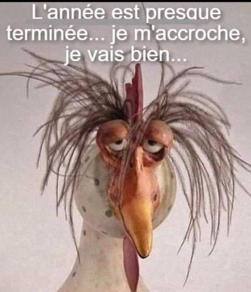 m'accroche....jpg