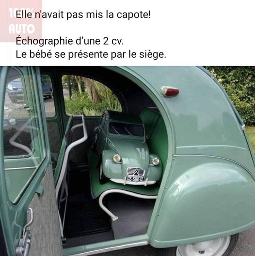2 chevaux.jpg