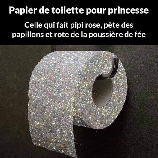 papier toilette.jpg