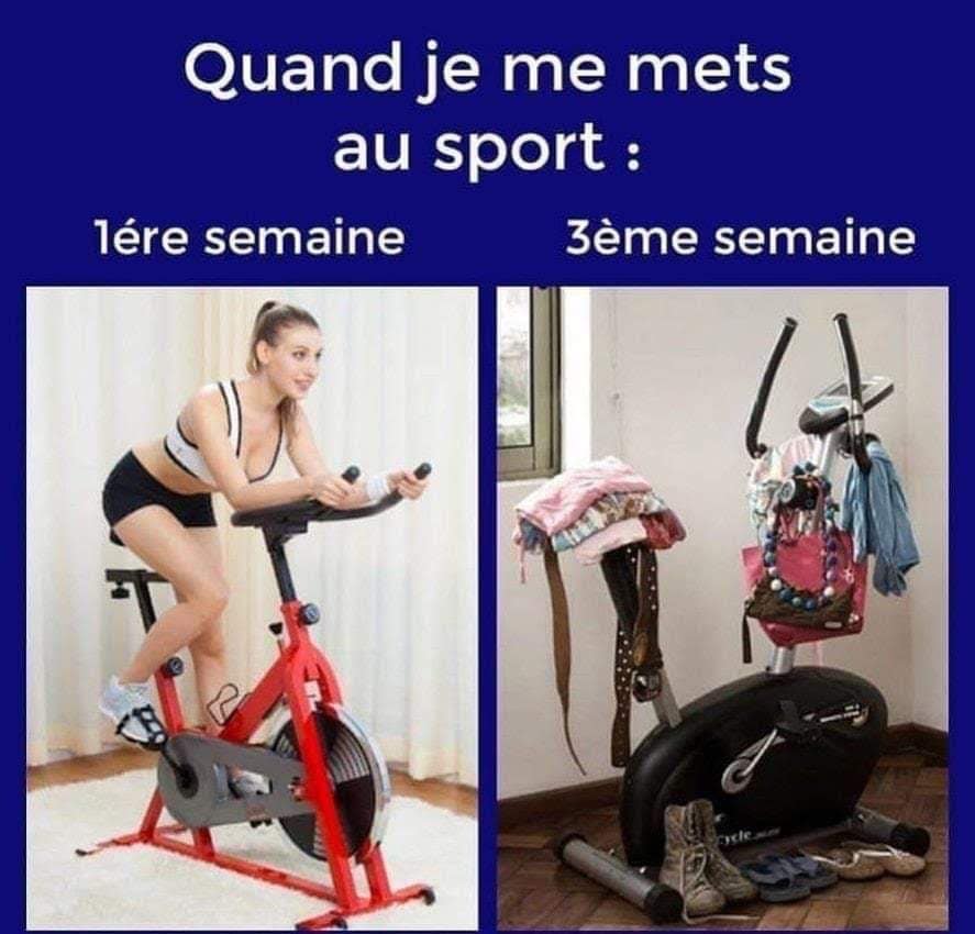 sport.jpg