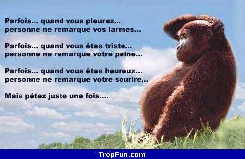 parfois.jpg