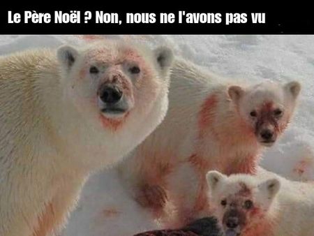 Sans titre.jpg