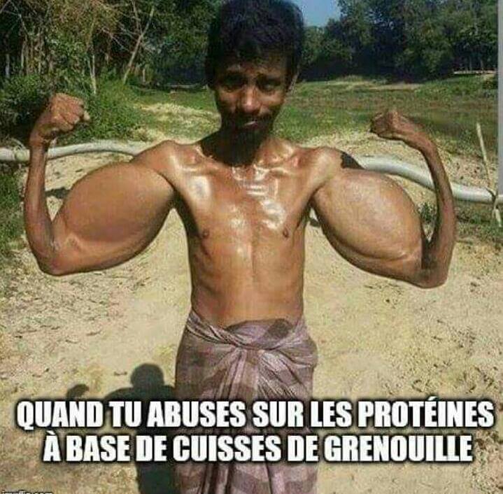 cuisses de grenouille.jpg