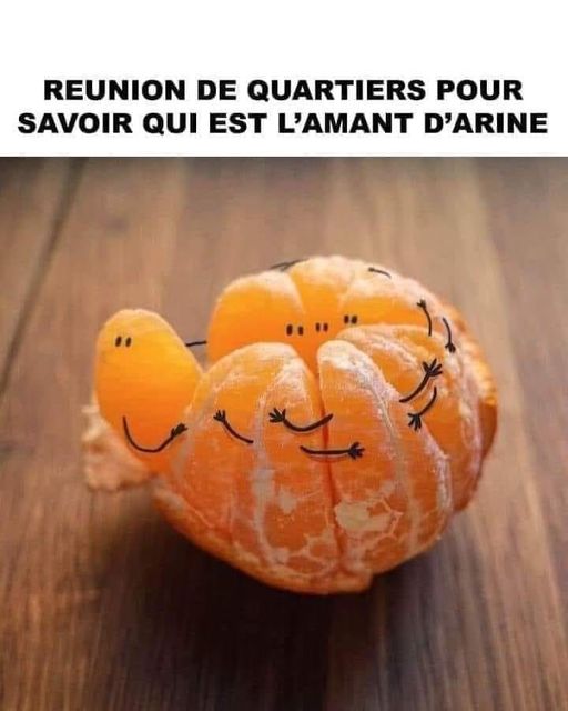 réunion.jpg