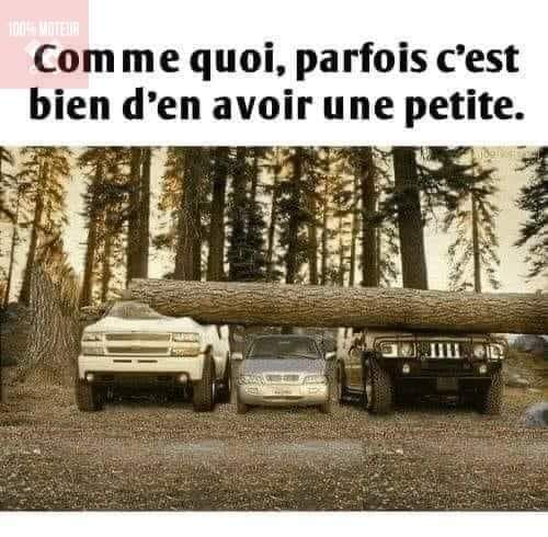 petite.jpg