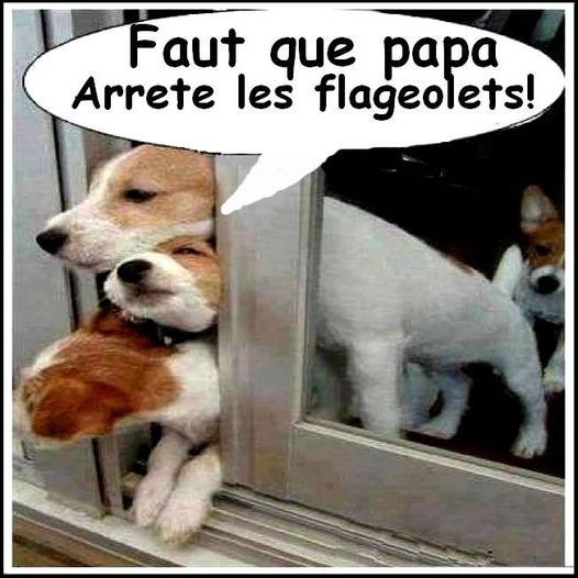 arrete de manger.jpg