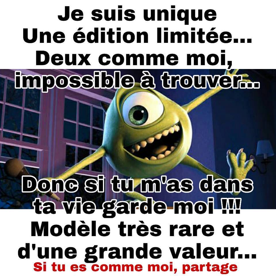 suis unique.jpg