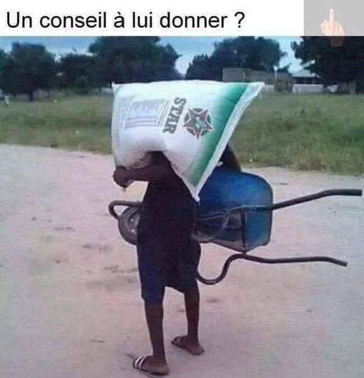 conseil.jpg