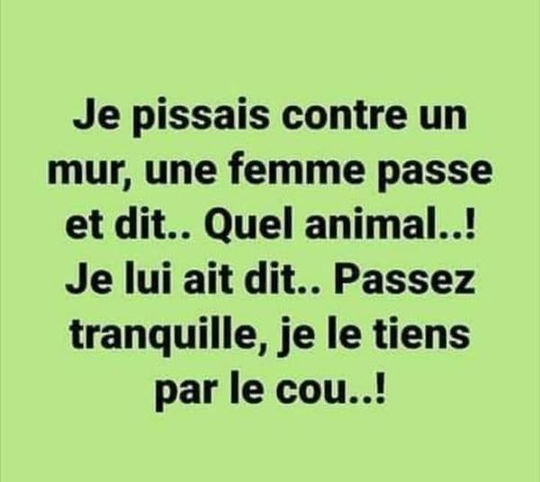 animal.jpg