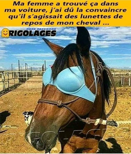 cheval.jpg