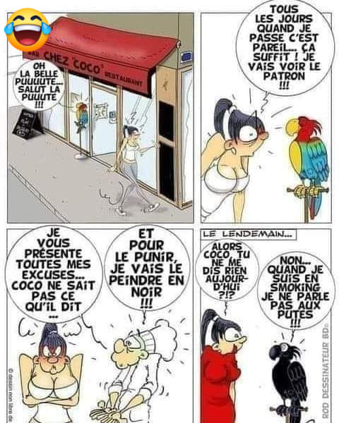 perroquet.jpg