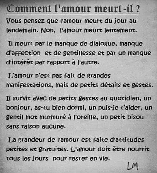 amour.jpg