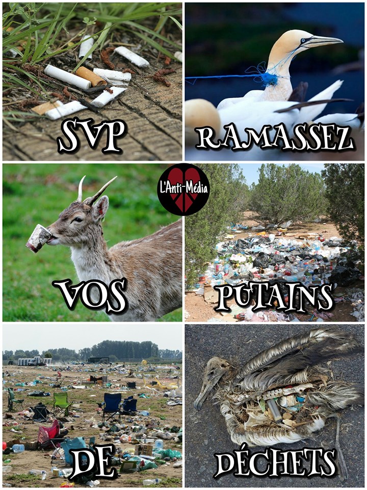 pollution.jpg