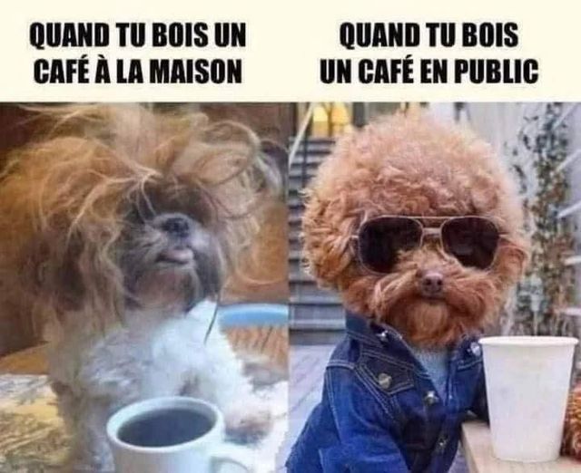 café.jpg