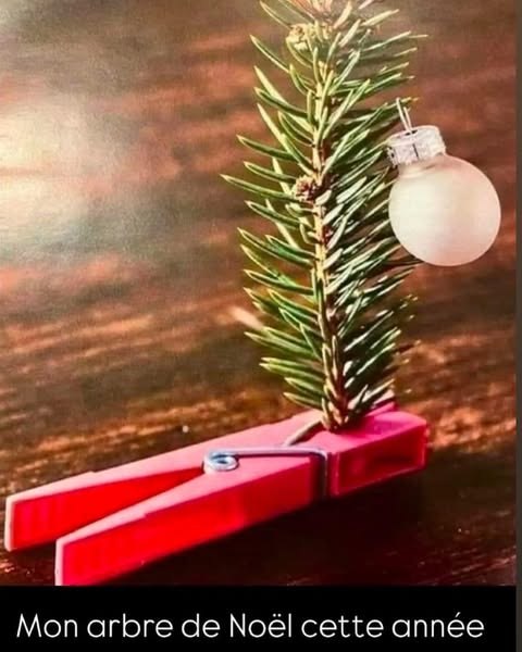 sapin de noel.jpg