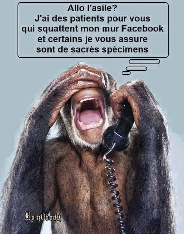 squatte mon fb.jpg