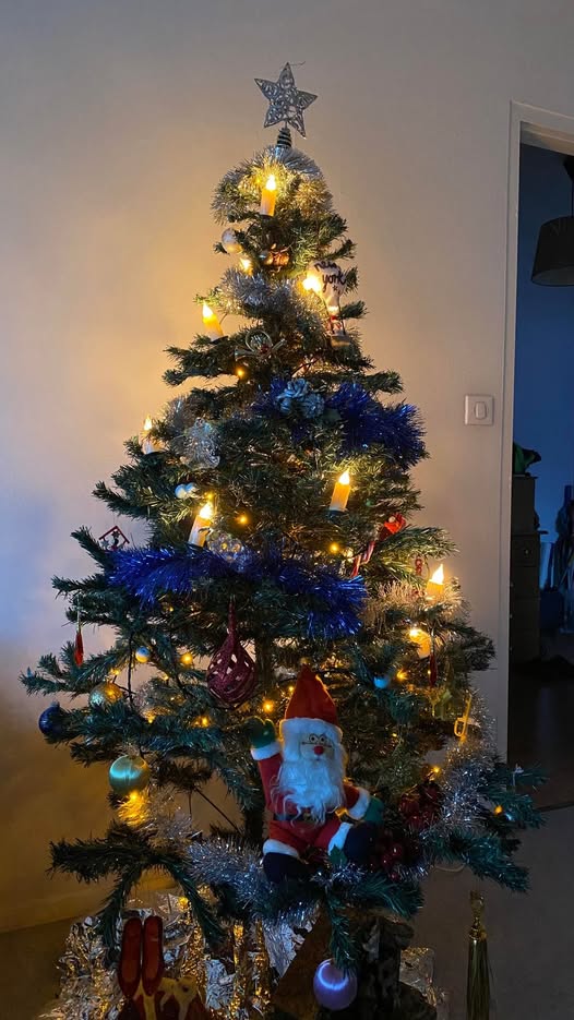 sapin zem.jpg
