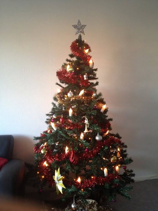 sapin zem.jpg