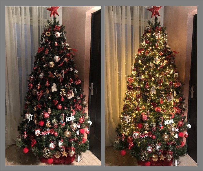 Sapin...jpg