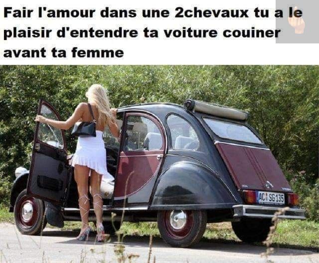 2chevaux.jpg