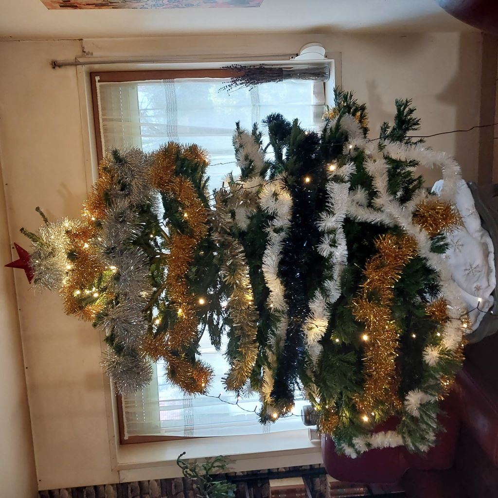 sapin redimensionné.jpg