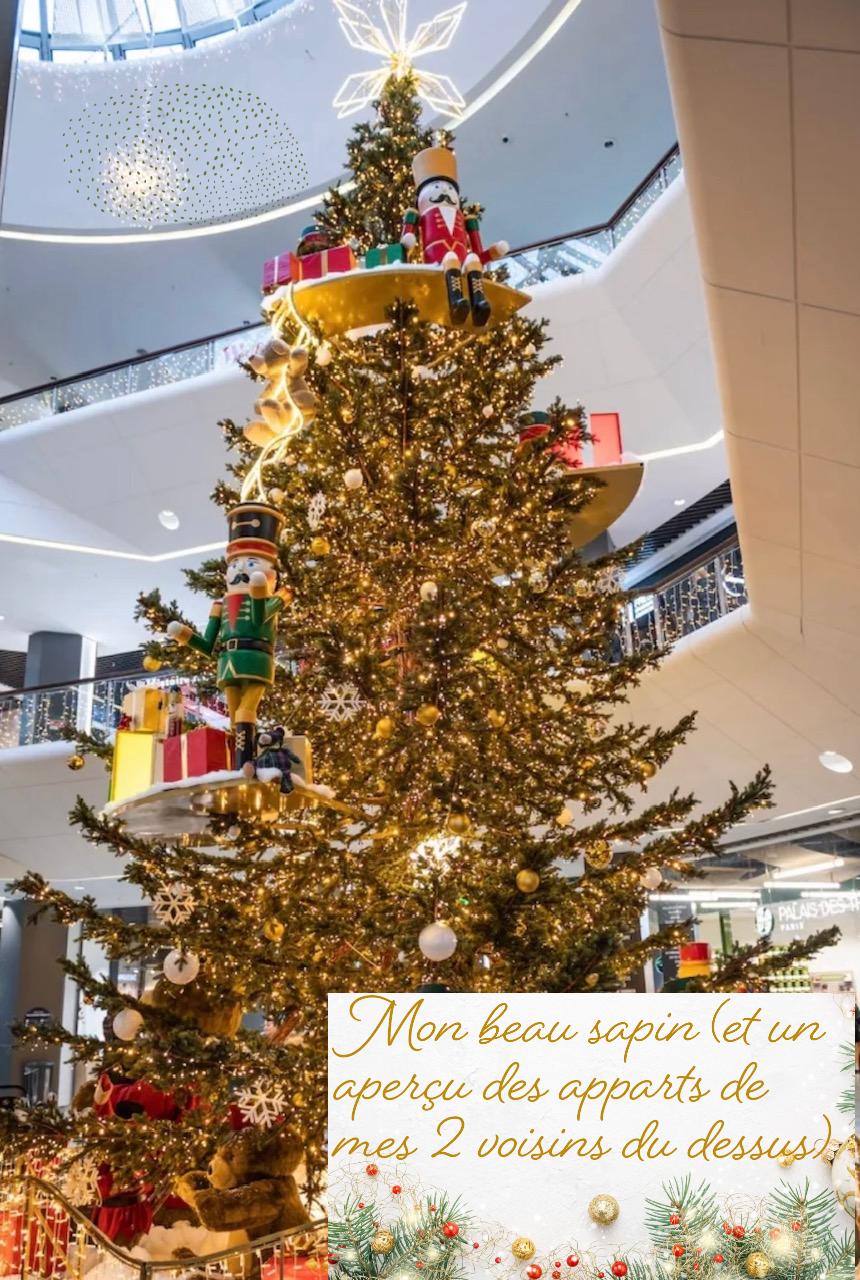 Mon beau sapin.JPG