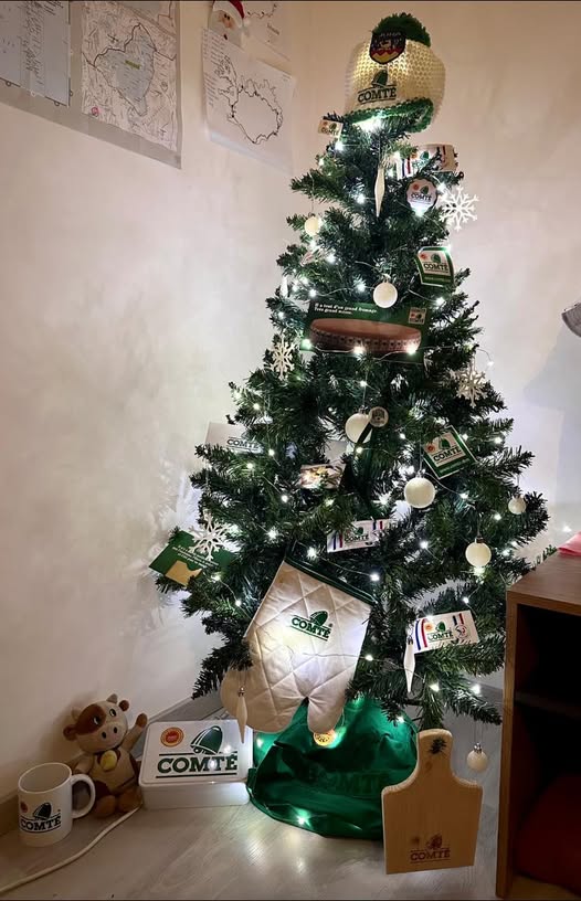sapin.jpg