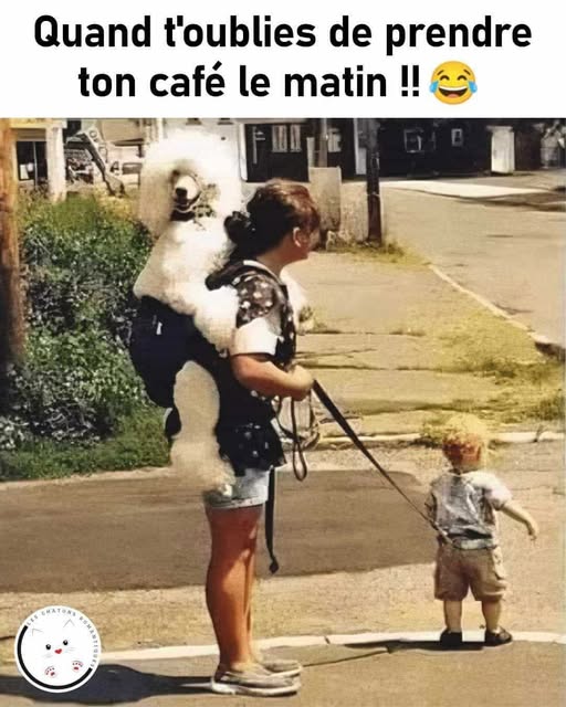 café.jpg